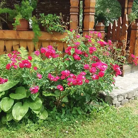 Pensiunea Covaciu Vendégház 3*
